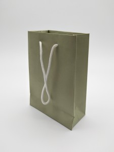 ZD-013 Paper Jewelry Gift Storage Packing bag