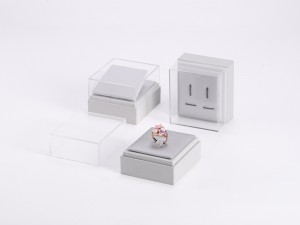 ZTB-122 elegant plastic jewelry display box with clear acrylic cover and window